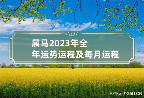 1978属马2023年运程|78年属马的2023年运势运程和财运怎么样